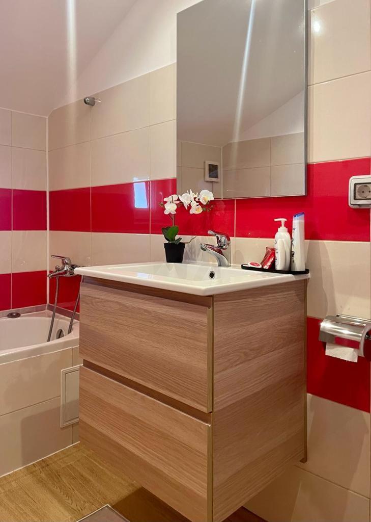 R&b Apartament Timişoara